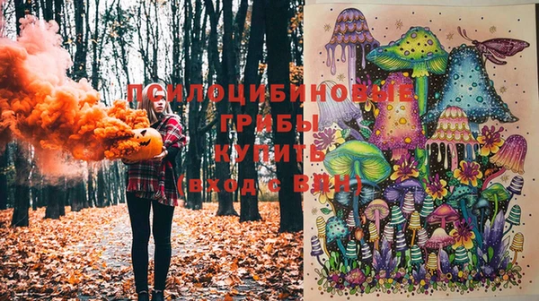 бутират Алексеевка