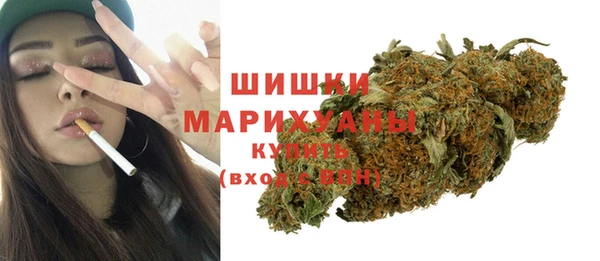 ГАЛЛЮЦИНОГЕННЫЕ ГРИБЫ Корсаков