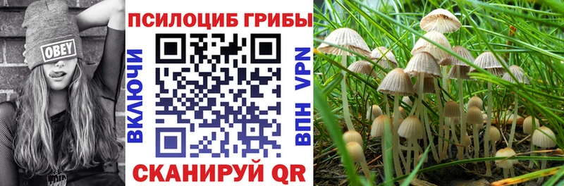 blacksprut маркетплейс Красноуральск Псилоцибиновые грибы Cubensis